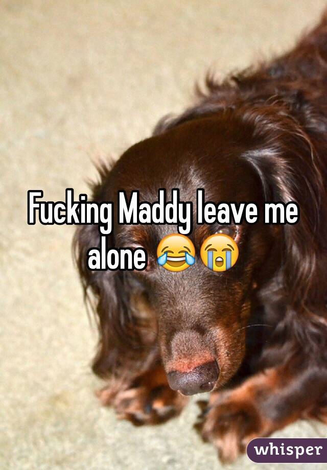 Fucking Maddy leave me alone 😂😭