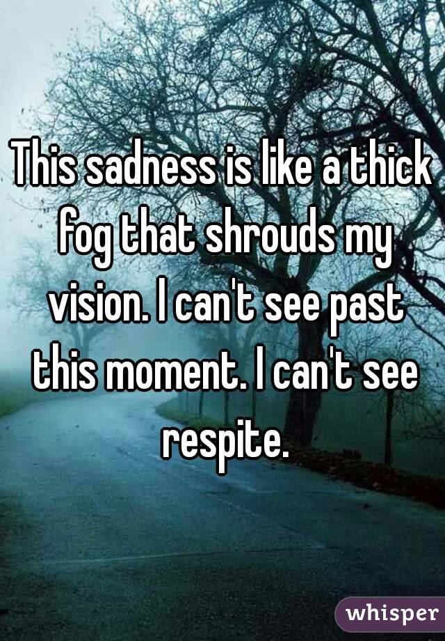 This sadness is like a thick fog that shrouds my vision. I can't see past this moment. I can't see respite.