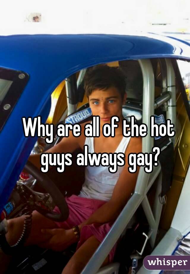 Why are all of the hot guys always gay?