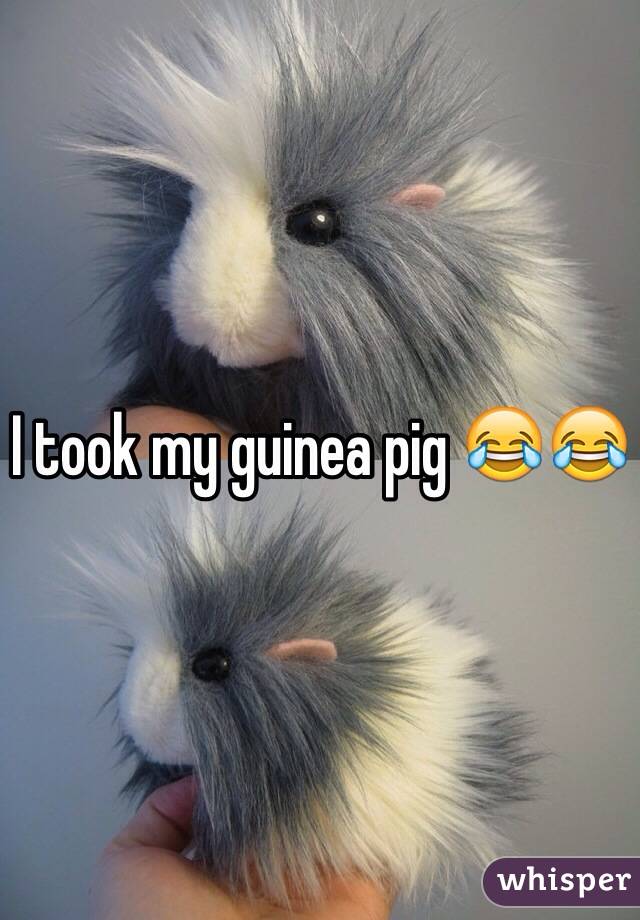 I took my guinea pig 😂😂