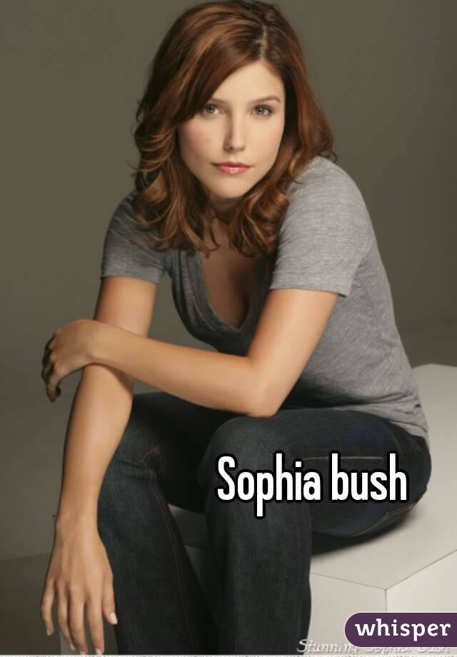 Sophia bush