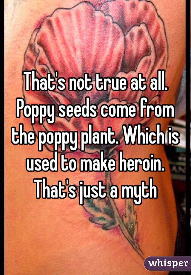 That's not true at all. Poppy seeds come from the poppy plant. Which is used to make heroin. That's just a myth