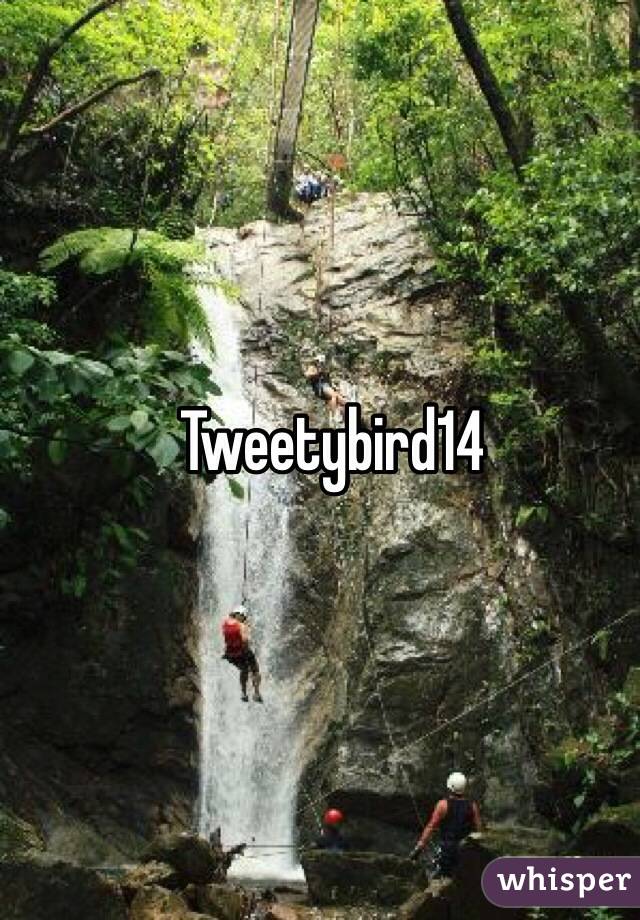 Tweetybird14