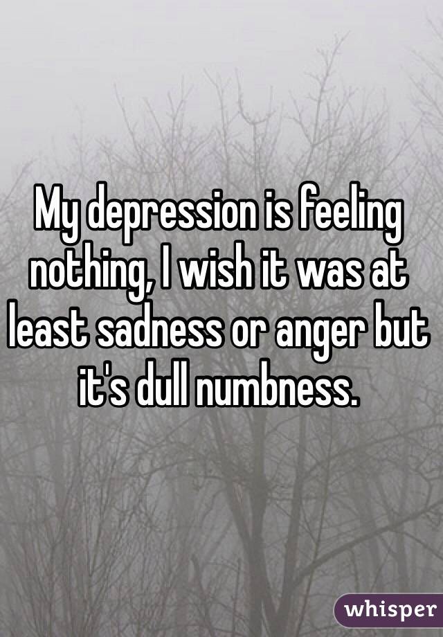 My depression is feeling nothing, I wish it was at least sadness or anger but it's dull numbness.   