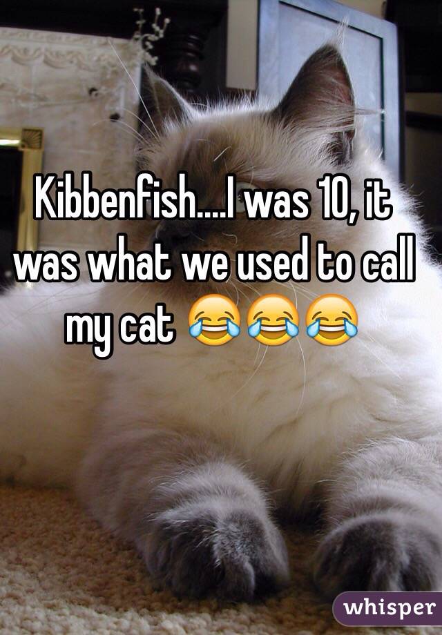 Kibbenfish....I was 10, it was what we used to call my cat 😂😂😂