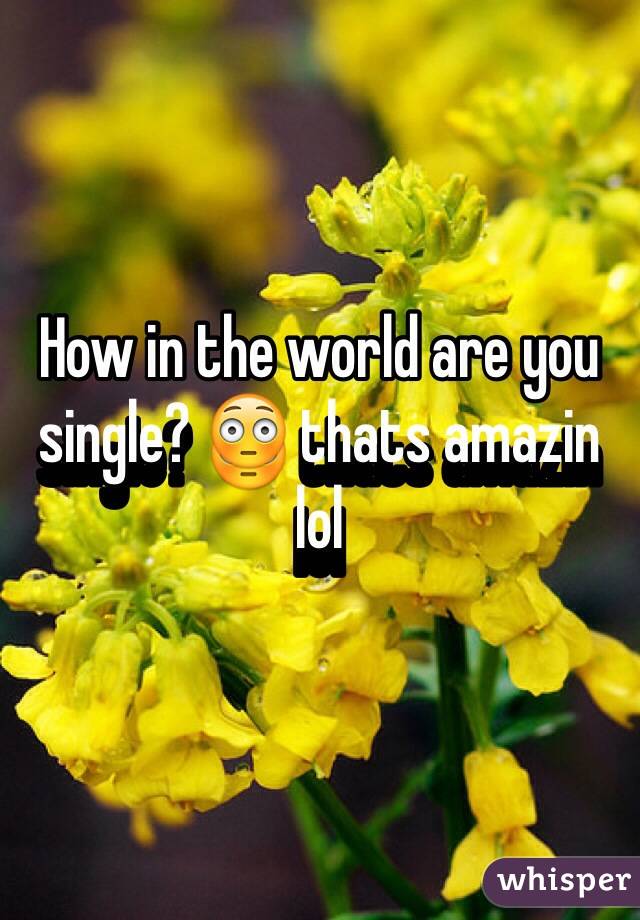 How in the world are you single? 😳 thats amazin lol