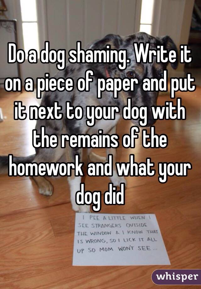 Do a dog shaming. Write it on a piece of paper and put it next to your dog with the remains of the homework and what your dog did