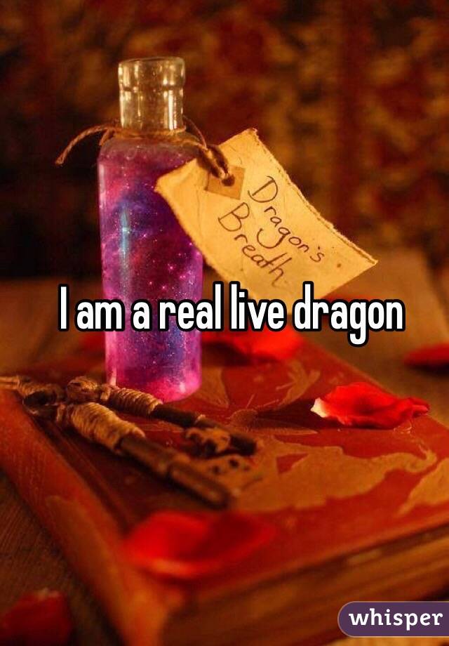 I am a real live dragon