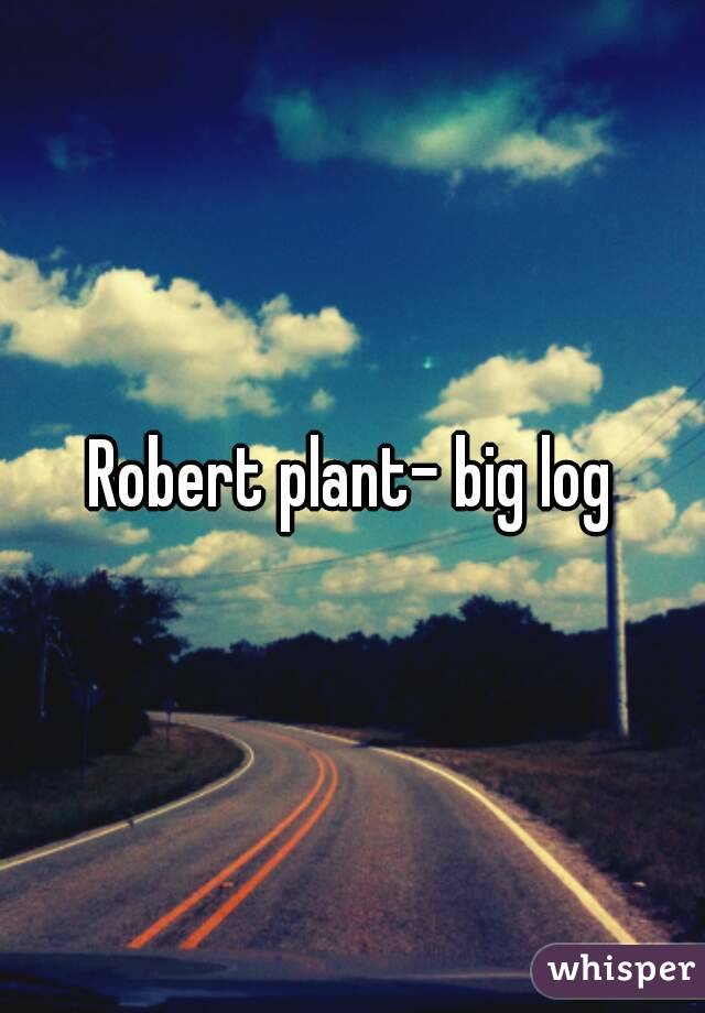 Robert plant- big log