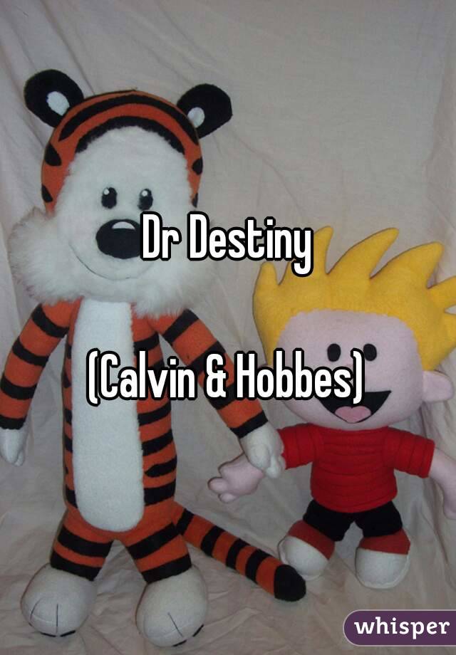 Dr Destiny

(Calvin & Hobbes)