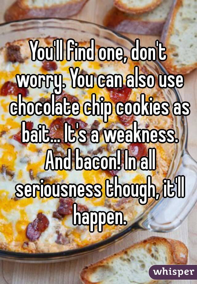 You'll find one, don't worry. You can also use chocolate chip cookies as bait... It's a weakness. And bacon! In all seriousness though, it'll happen.