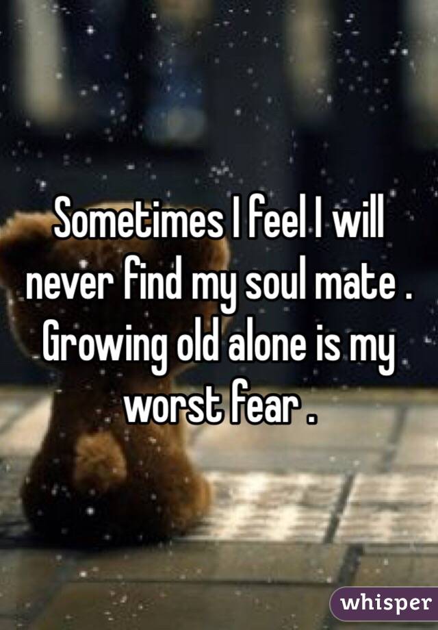 Sometimes I feel I will never find my soul mate . Growing old alone is my worst fear .