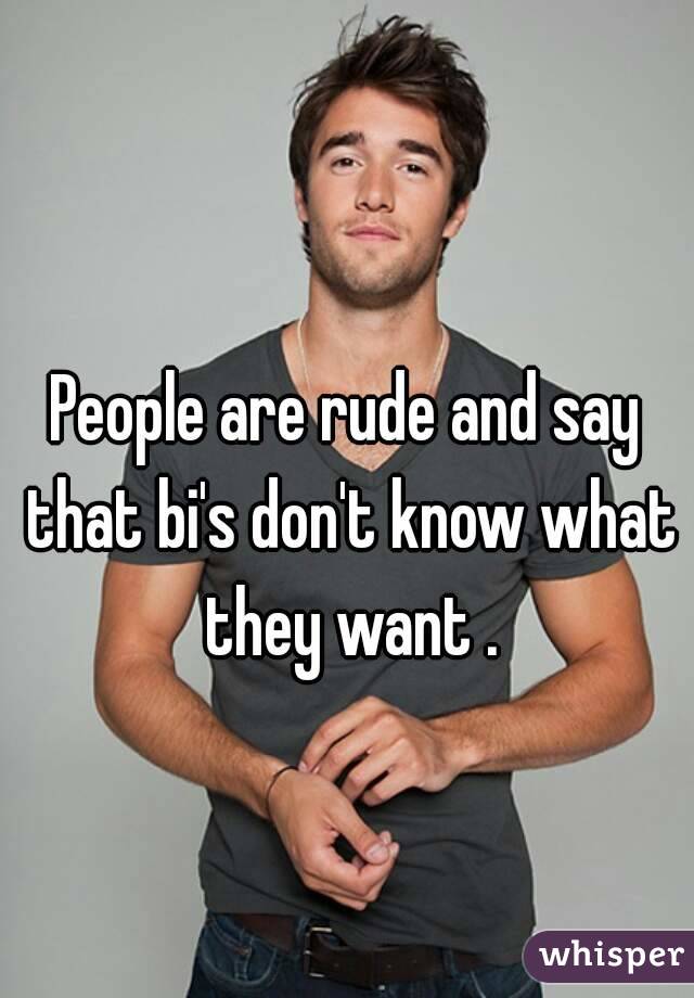 People are rude and say that bi's don't know what they want .