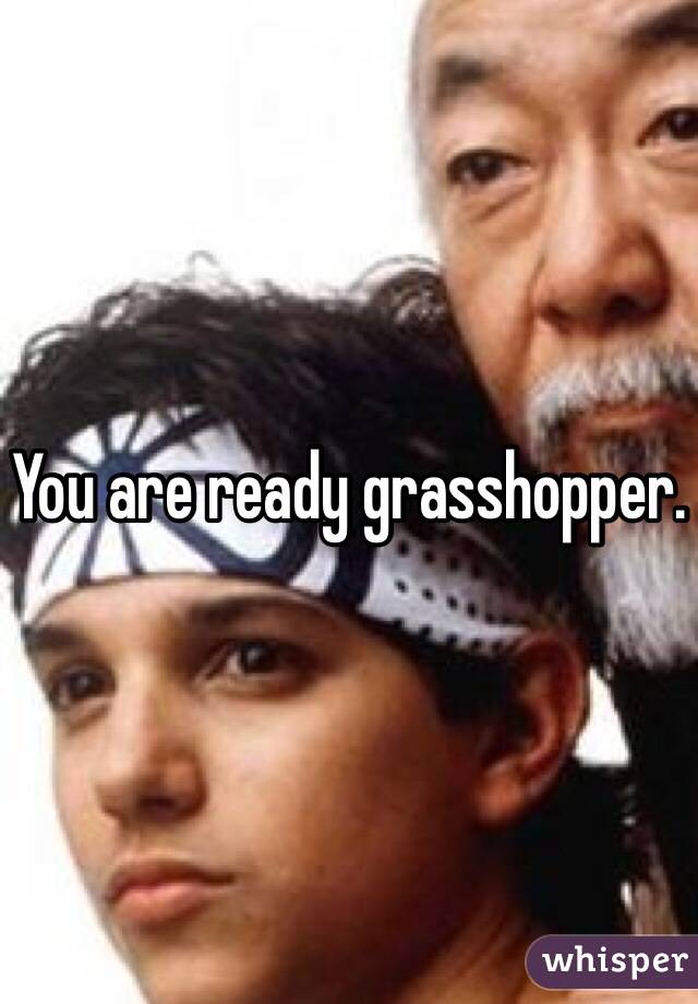 You are ready grasshopper. 