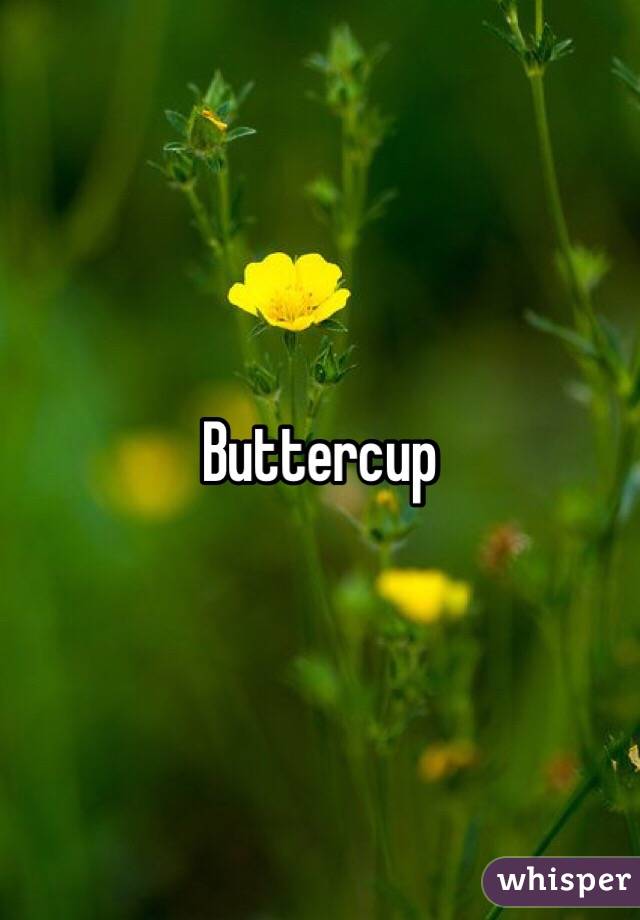 Buttercup