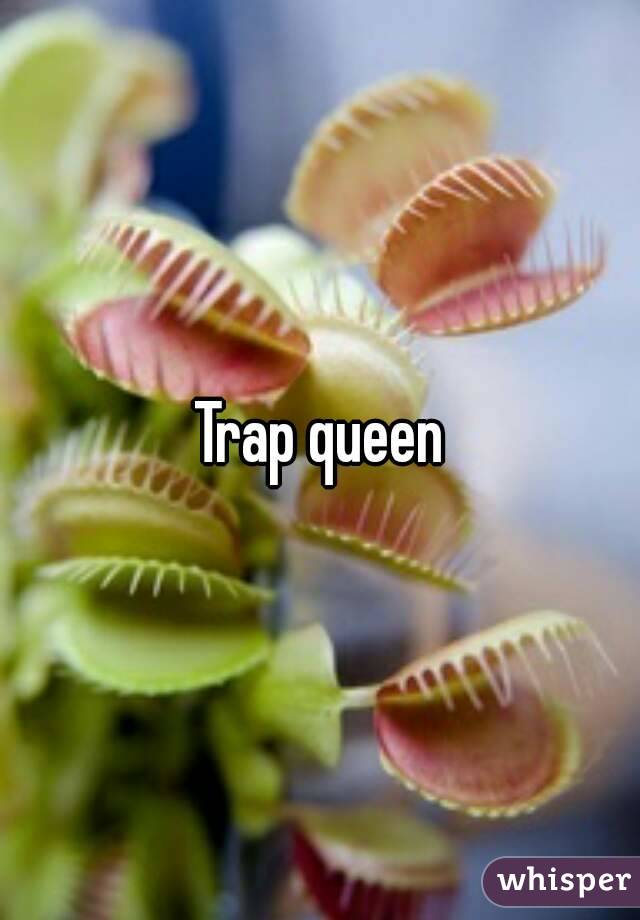 Trap queen