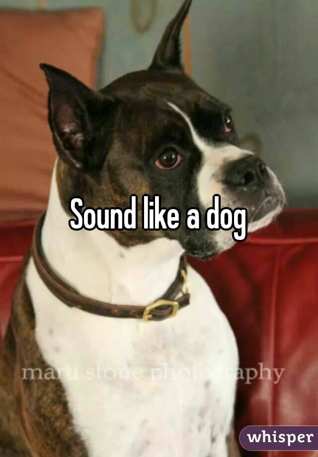 Sound like a dog