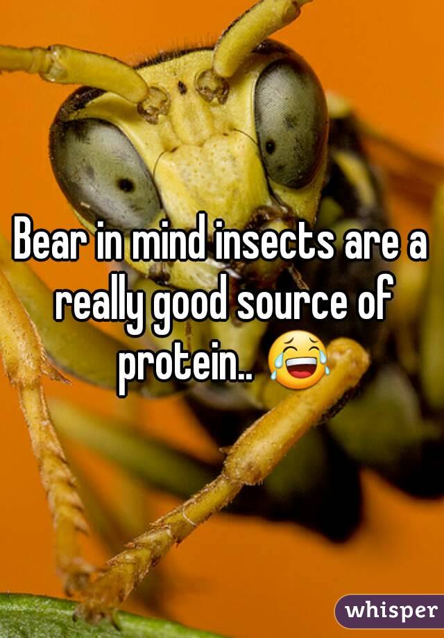 Bear in mind insects are a really good source of protein.. 😂