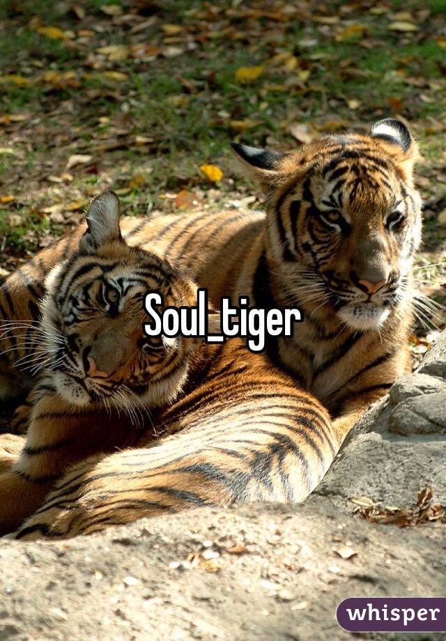 Soul_tiger