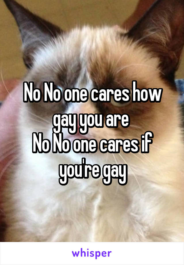 No No one cares how gay you are 
No No one cares if you're gay