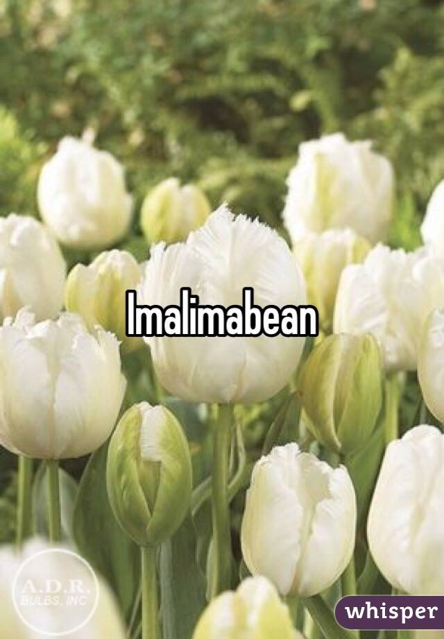 Imalimabean