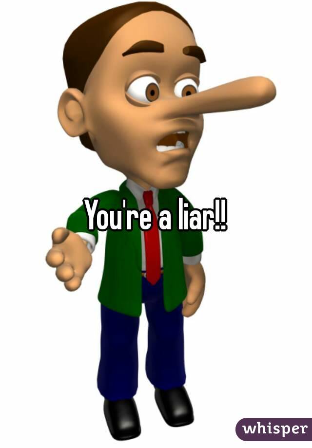 You're a liar!!