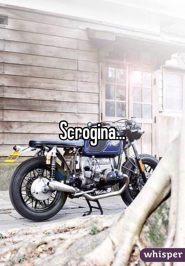 Scrogina...