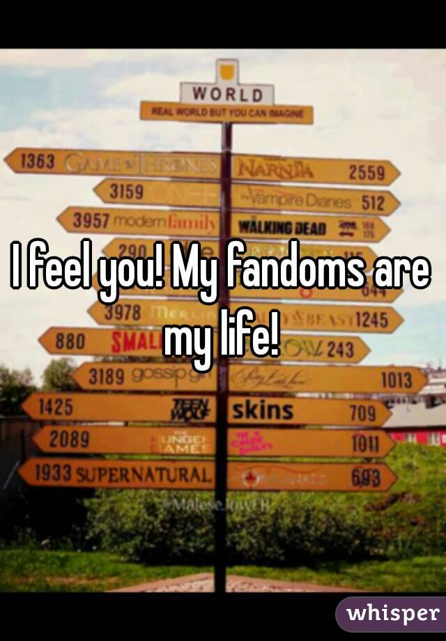 I feel you! My fandoms are my life! 