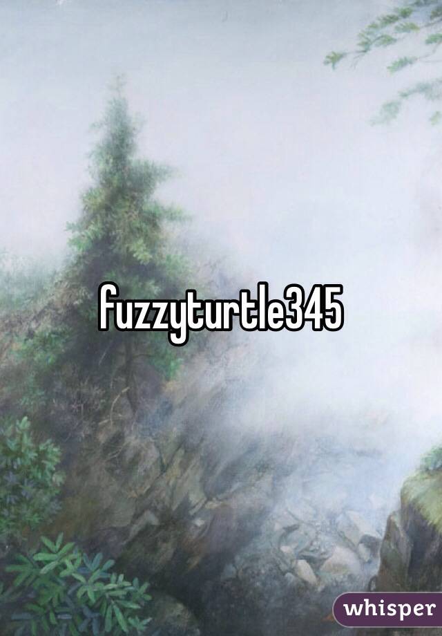 fuzzyturtle345