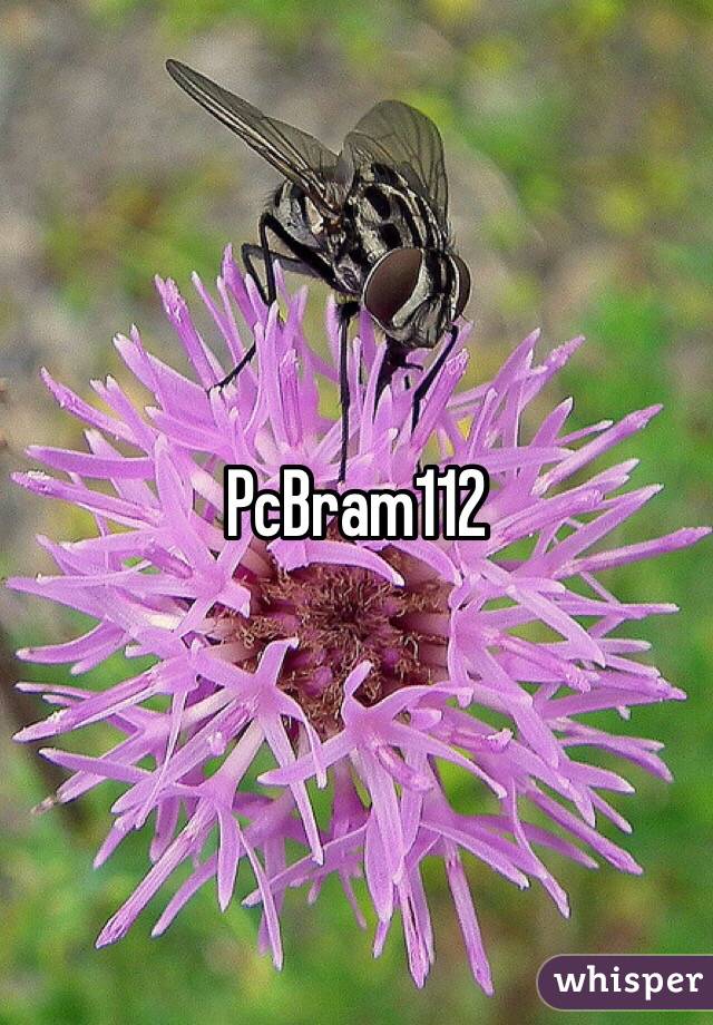 PcBram112