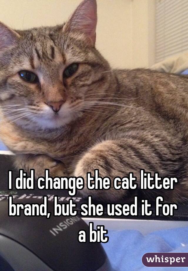 I did change the cat litter brand, but she used it for a bit