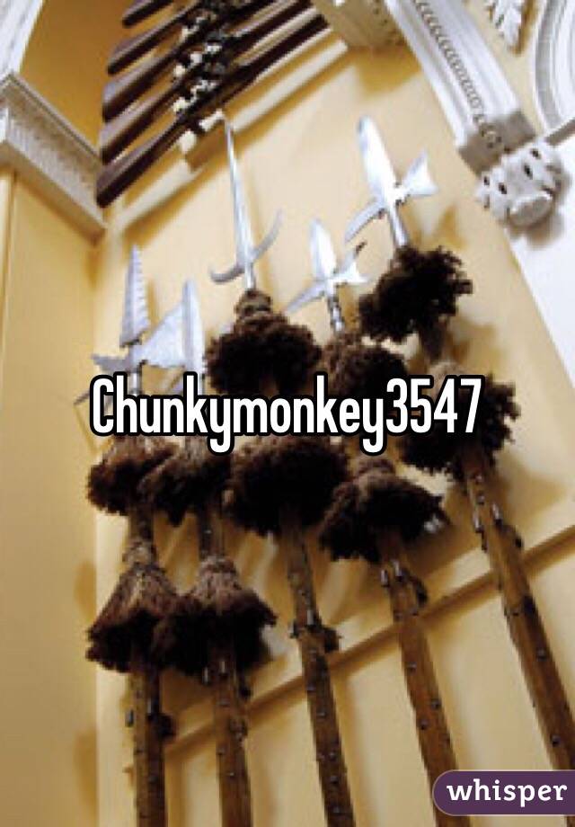 Chunkymonkey3547