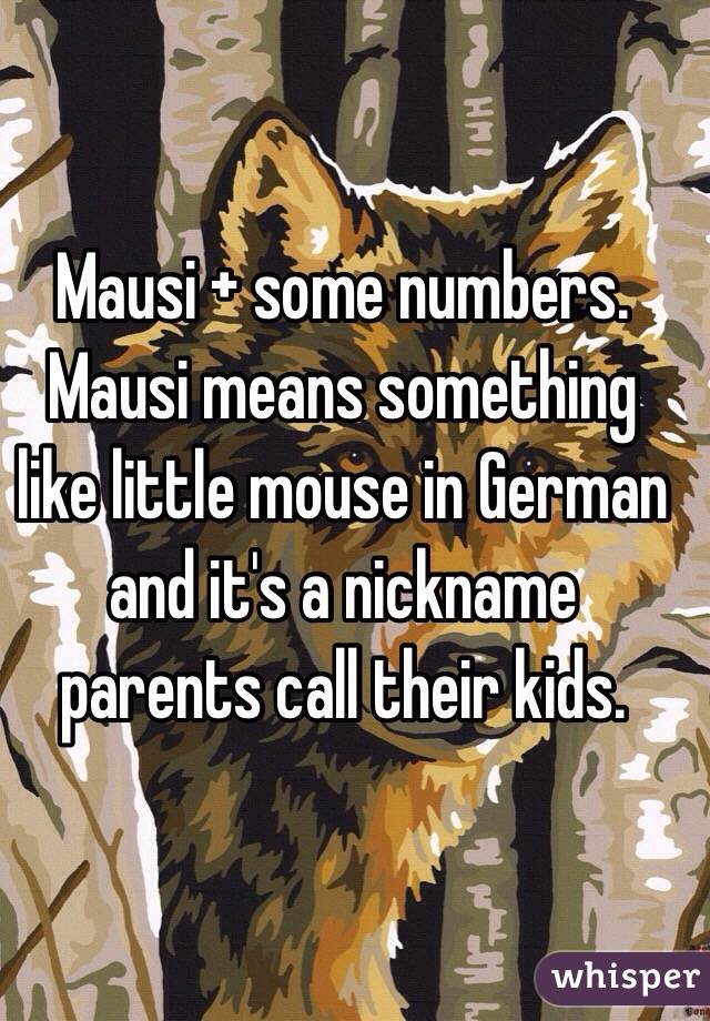  Mausi + some numbers. Mausi means something like little mouse in German and it's a nickname parents call their kids. 