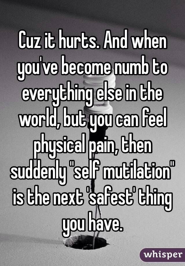 Cuz it hurts. And when you've become numb to everything else in the world, but you can feel physical pain, then suddenly "self mutilation" is the next 'safest' thing you have. 