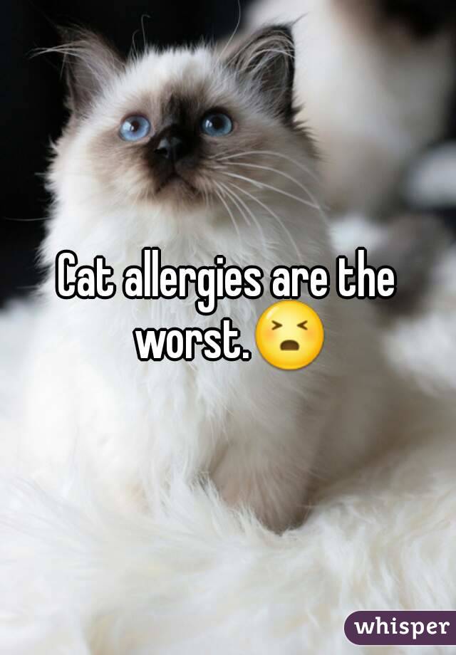 Cat allergies are the worst.ðŸ˜£