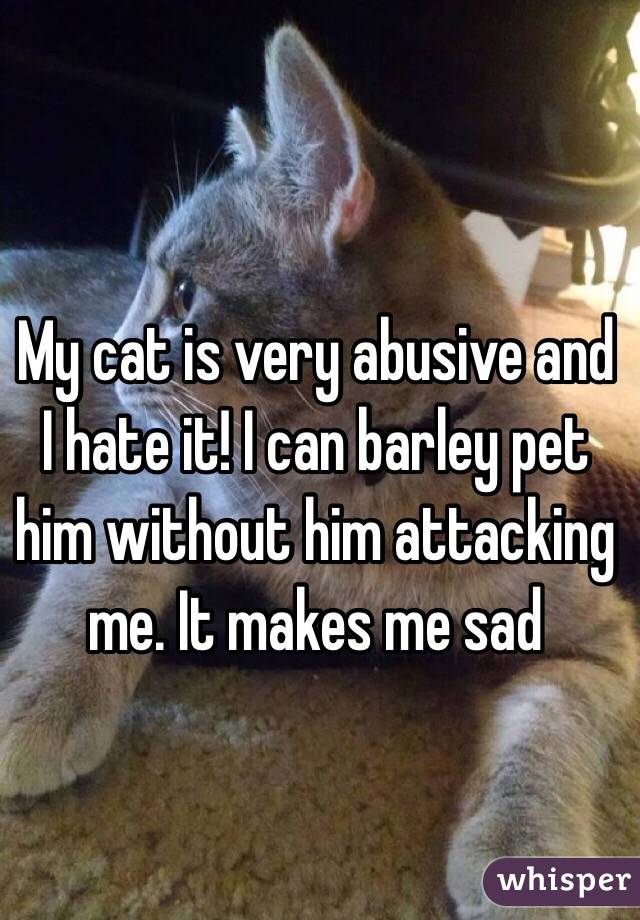 My cat is very abusive and I hate it! I can barley pet him without him attacking me. It makes me sad