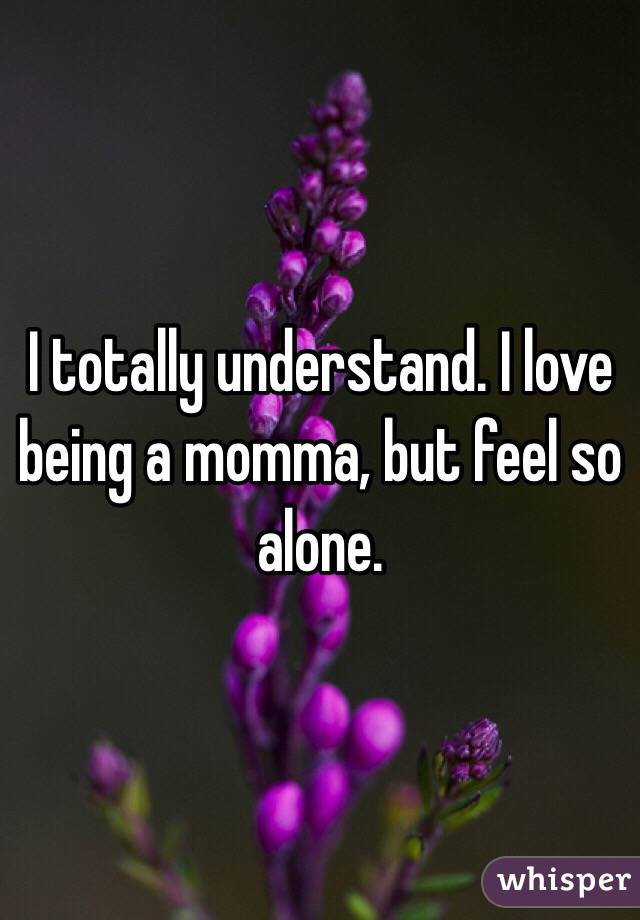 I totally understand. I love being a momma, but feel so alone.