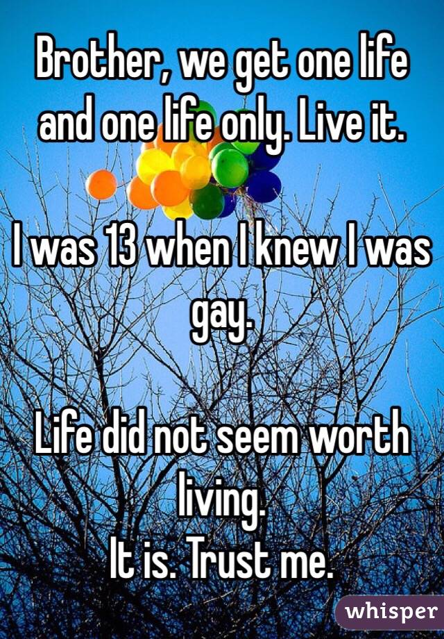 Brother, we get one life and one life only. Live it.

I was 13 when I knew I was gay.

Life did not seem worth living.
It is. Trust me.