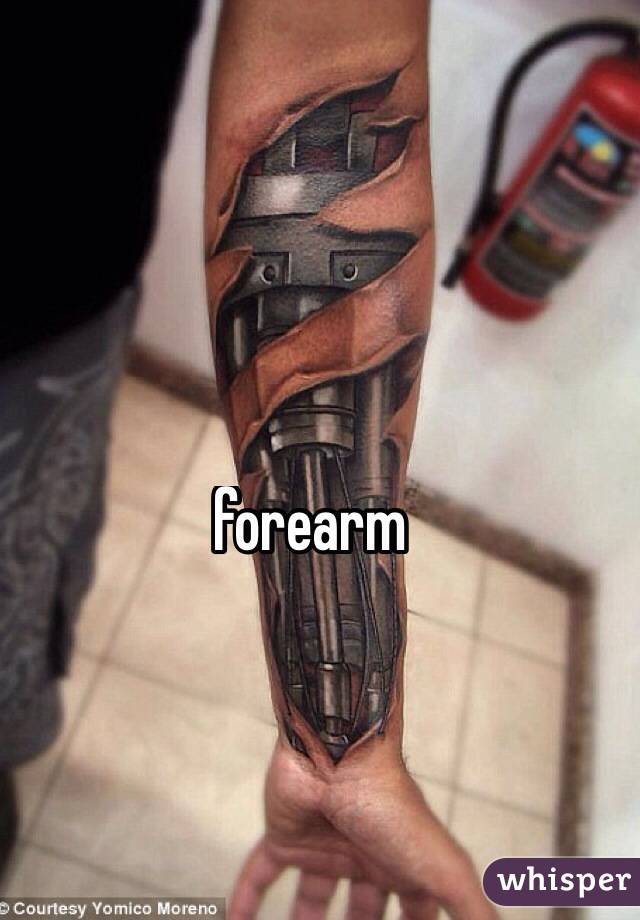  forearm 
