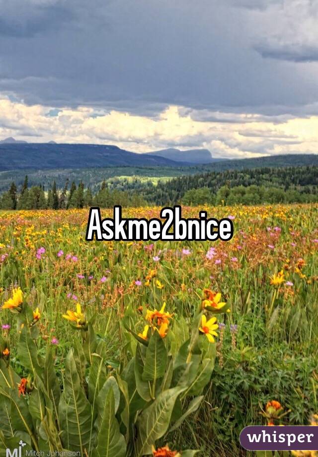 Askme2bnice