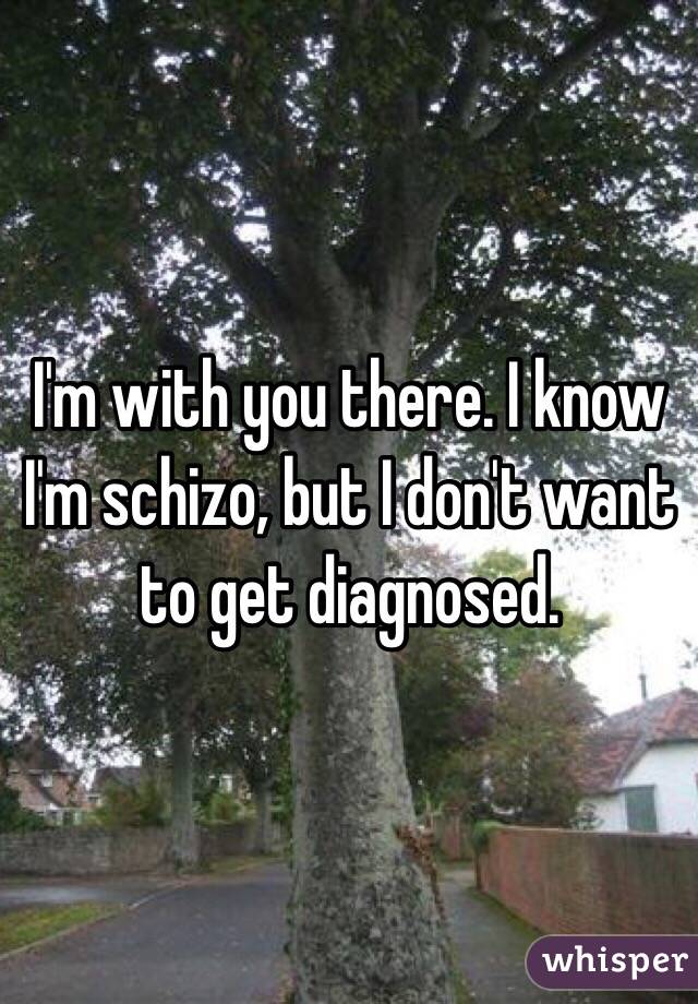 I'm with you there. I know I'm schizo, but I don't want to get diagnosed.