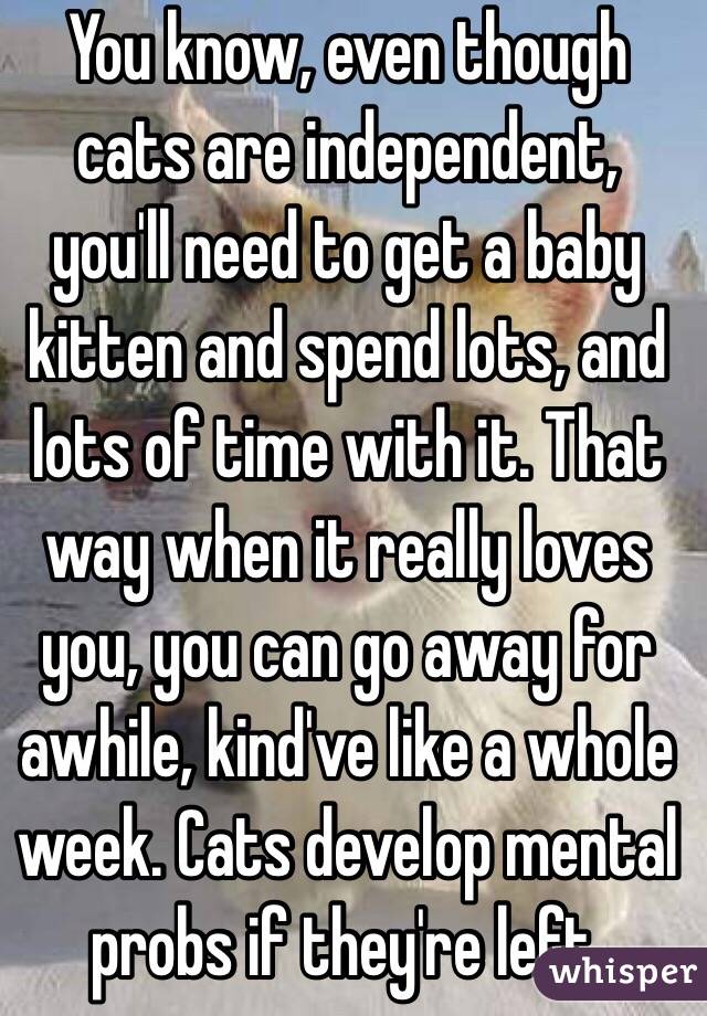 You know, even though cats are independent, you'll need to get a baby kitten and spend lots, and lots of time with it. That way when it really loves you, you can go away for awhile, kind've like a whole week. Cats develop mental probs if they're left.