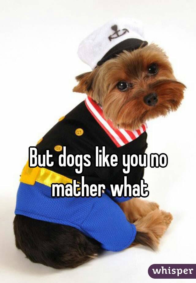But dogs like you no mather what