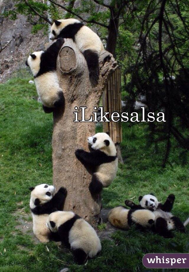 iLikesalsa