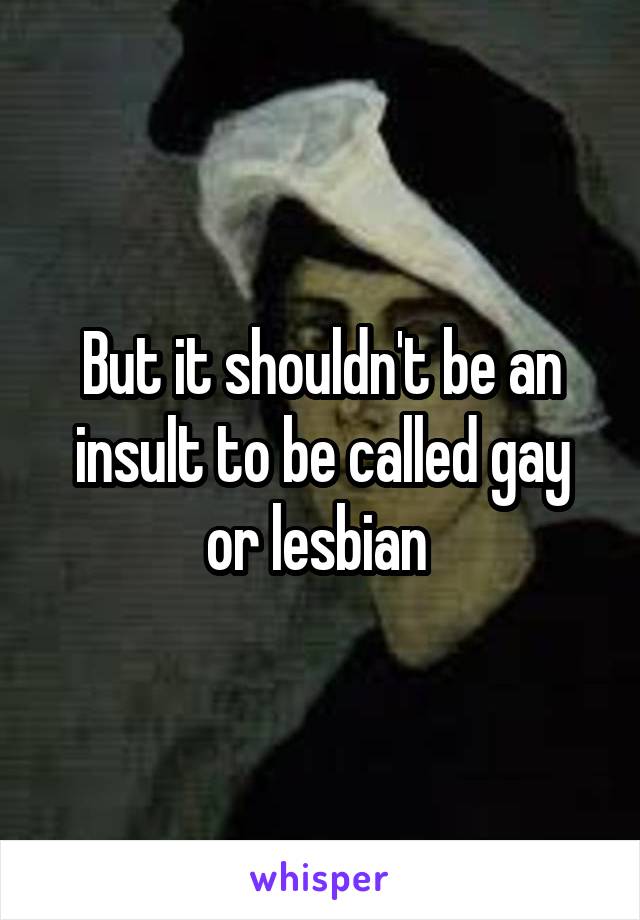 But it shouldn't be an insult to be called gay or lesbian 