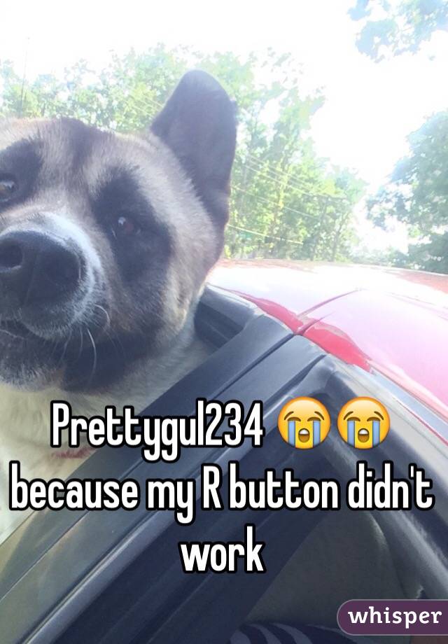 Prettygul234 😭😭 because my R button didn't work 