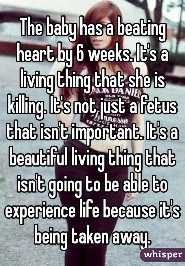 The baby has a beating heart by 6 weeks. It's a living thing that she is killing. It's not just a fetus that isn't important. It's a beautiful living thing that isn't going to be able to experience life because it's being taken away. 