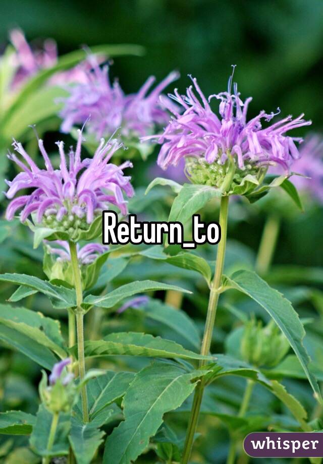 Return_to