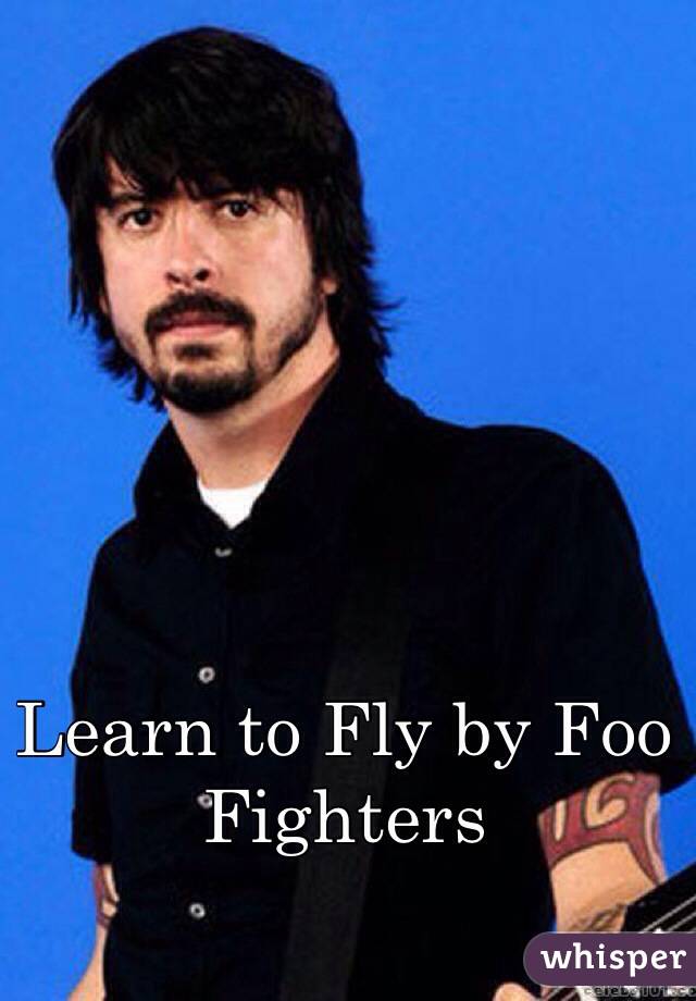 Learn to Fly by Foo Fighters