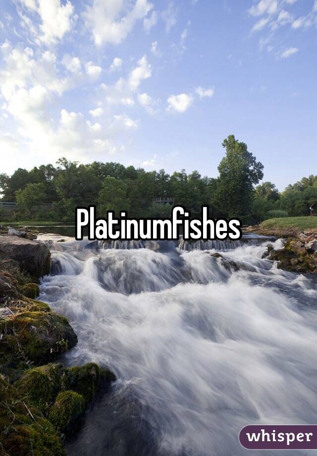 Platinumfishes 